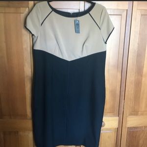 Ann Taylor Color Block Sheath Dress